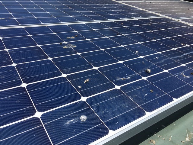 Solar Cleaning 5-2
