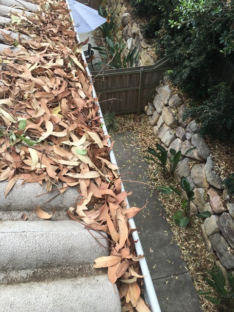 1300 Cleaning Group gutter cleaning