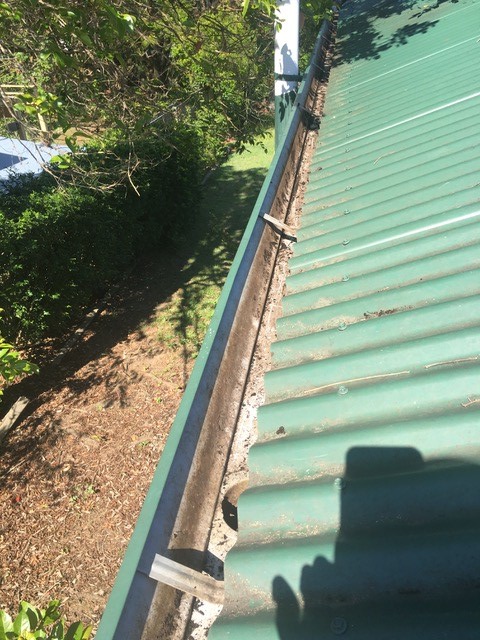 Before Gutter Green  Tin Roof