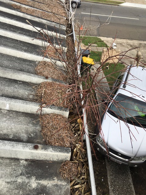 1300 Cleaning Group Gutter Cleaning 1300 Cleaning Group gutter cleaning