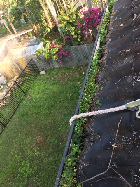 1300 Cleaning Group gutter cleaning