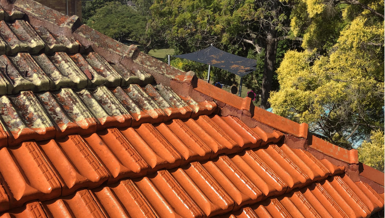 roof cleaning in progress near brisbane