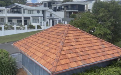 Is it Worth Getting Your Roof Cleaned?