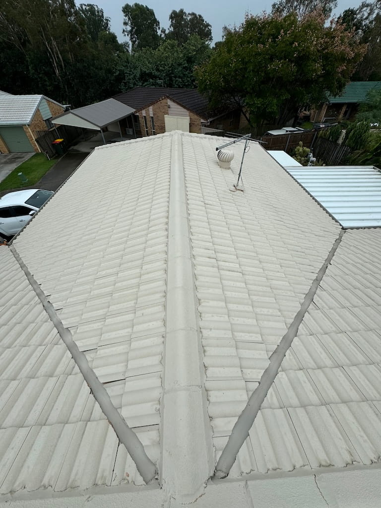 after roof cleaning brisbane