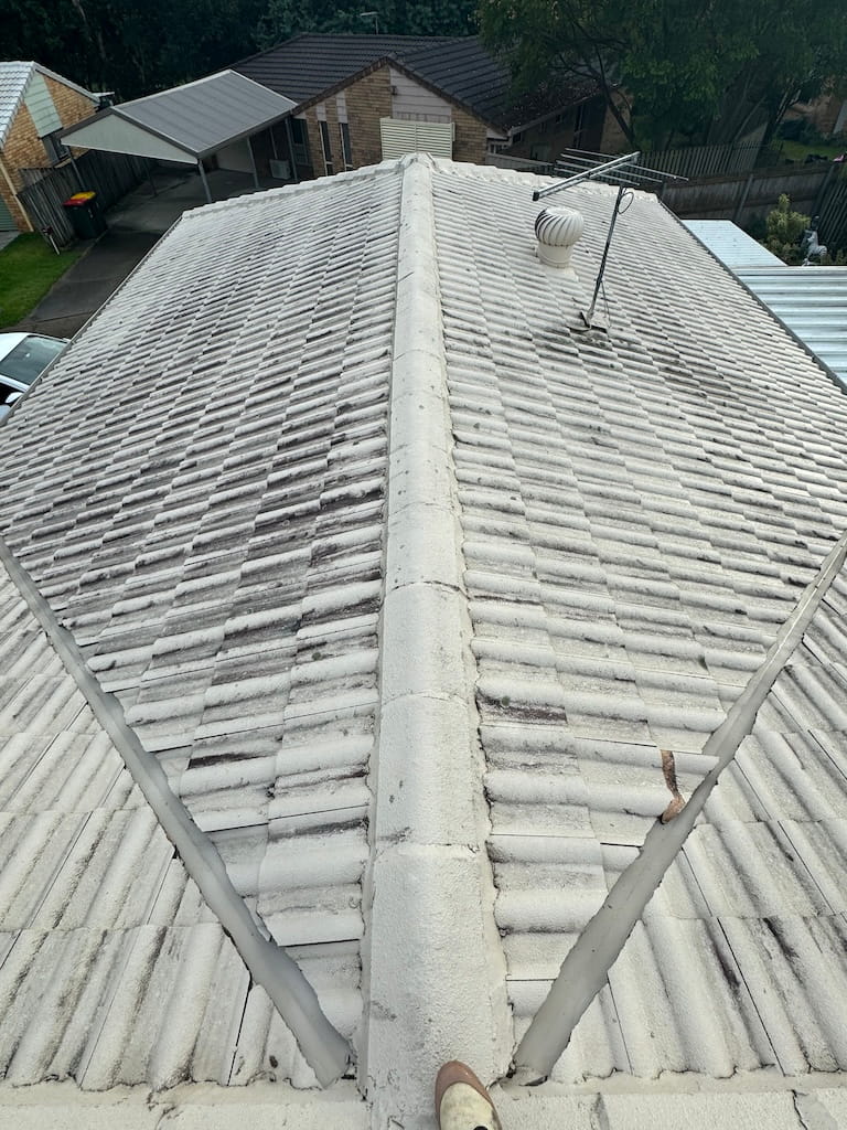 before roof cleaning brisbane