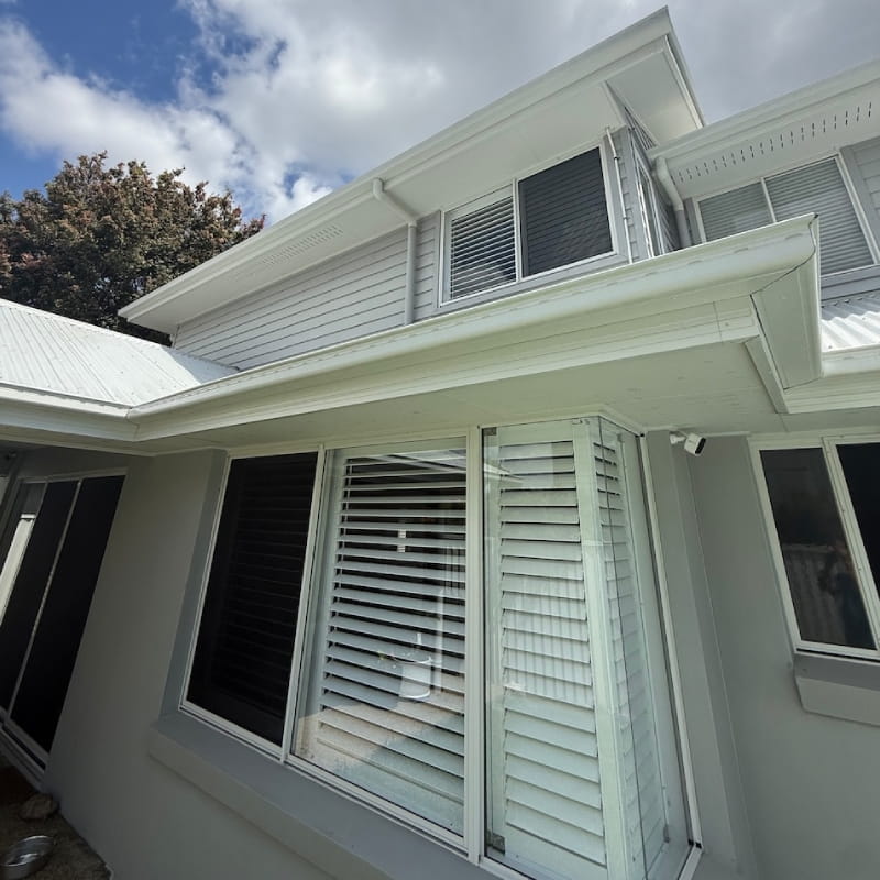 roof and house cleaning