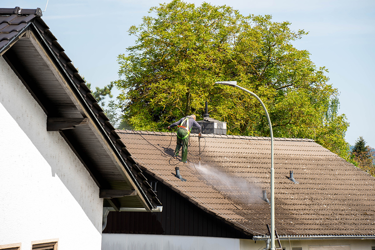 Roof cleaning