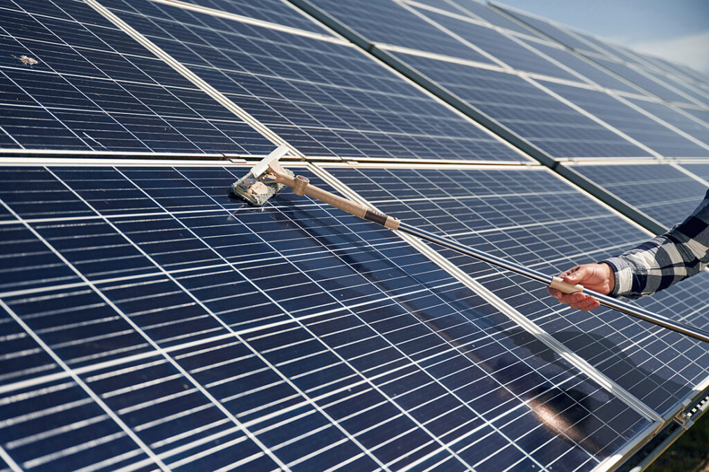 shutterstock 2463237275