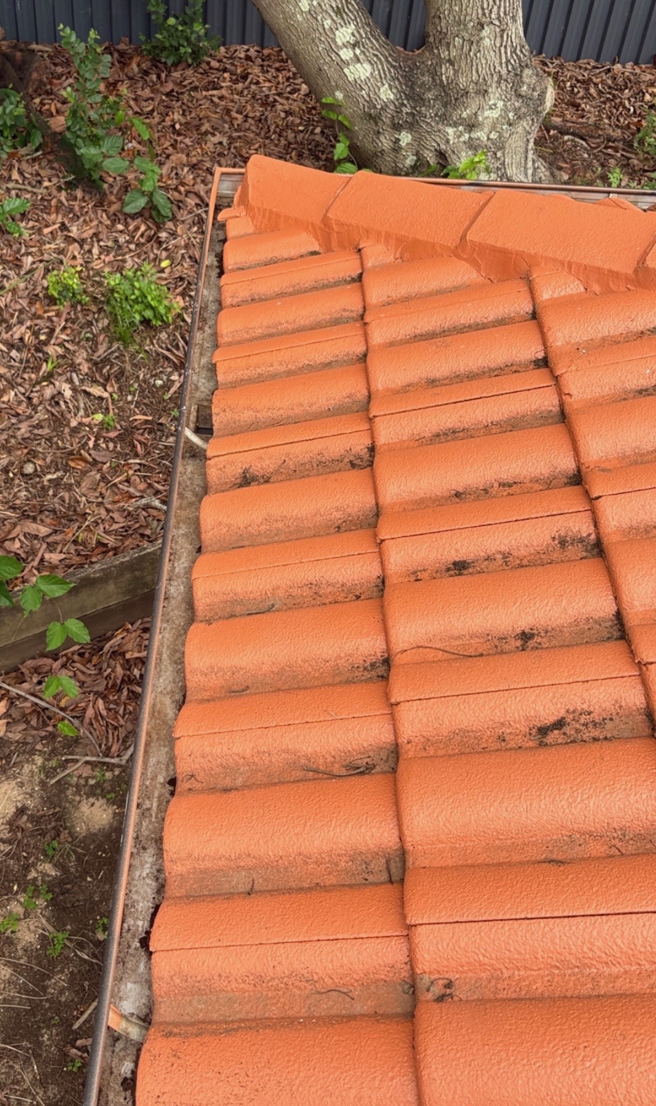 After roof cleaning in Brisbane tile roof covered in leaves