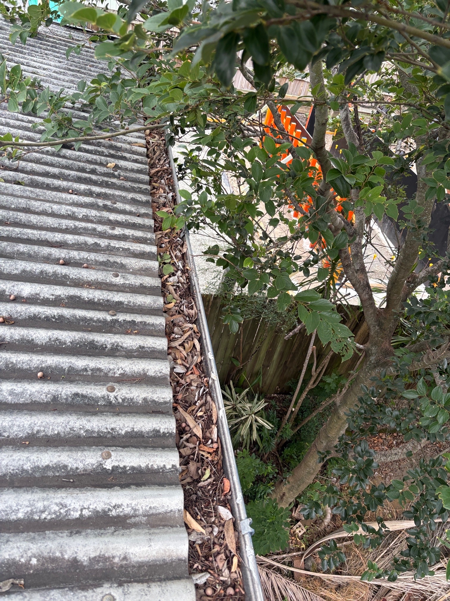 Before roof cleaning in Brisbane Light roof covered in leaves